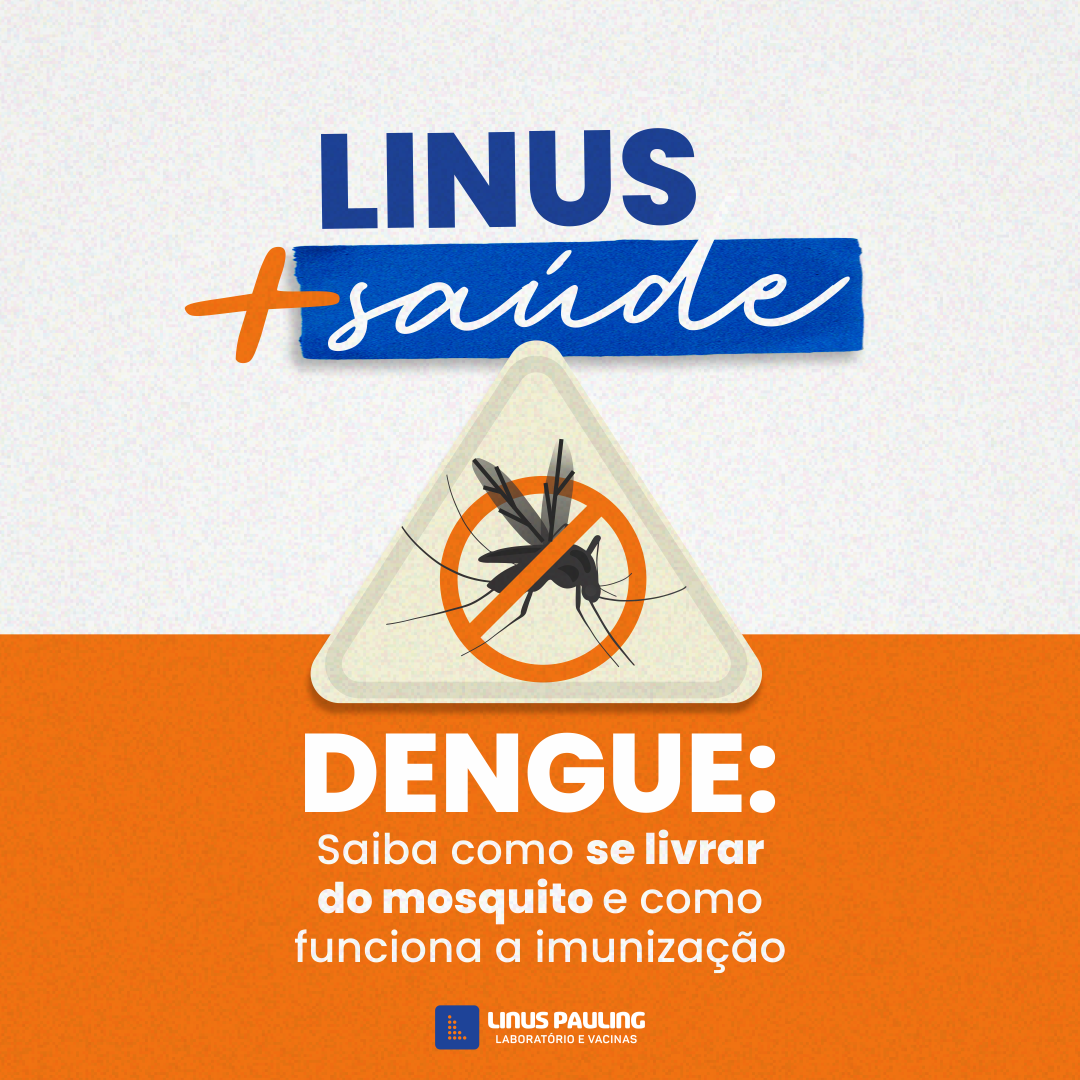 Dengue: saiba como se livrar do mosquito e a importância da imunização